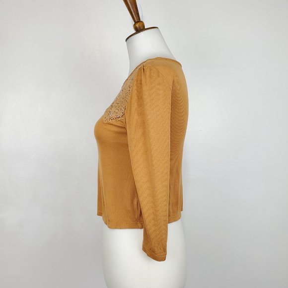 American Eagle Outfitters Brown With Crochet Lace Insert Stretchy Crop Top XS - Picture 3 of 9